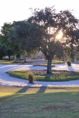 Obraz premium Al ser una zona casi plana,podemos disfrutar de hermosos y coloridos atardeceres. 