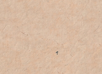 Seamless Bhutanese Tsasho paper texture