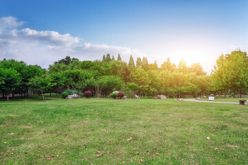 Serene Park Landscape at Sunset