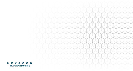 3d style modern hexagon stipe line white background design