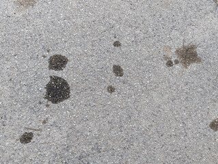 Dark and light grey street asphalt with oil vehicle stains texture or background. Grunge rough gray road floor surface.