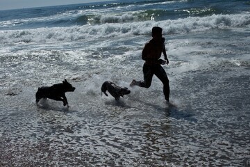 Manrunning and playing with dogs in the ocean. San Francisco, Califormia, USA.