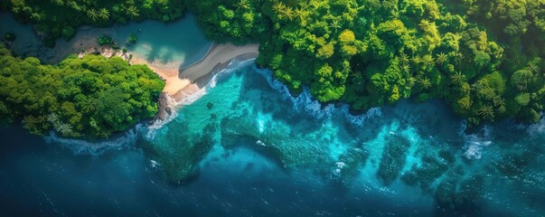 Aerial view of a tropical beach surrounded by lush greenery and crystal-clear blue water, perfect for vacation and travel inspiration.