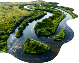 Winding River through Lush Greenery on transparent background