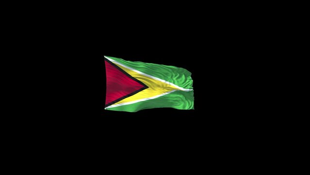 Guyana flag with alpha