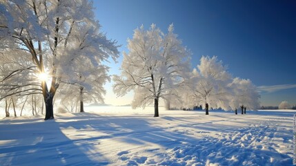 Fototapeta premium Snow-covered country road at sunset on a winter day. Winter background, nature wallpaper.