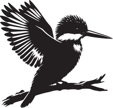 Kingfisher clip art preview
