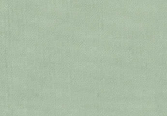 Seamless Green Hahnemuhle Buggra Butten paper texture.