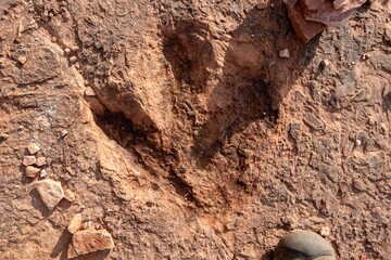 Dinosaur Foot Print Track on Rock Cliff Surface above US Highway 89 and Port of Entry in Kanab, Utah