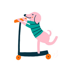 Cute Dog on Vehicle Scooter