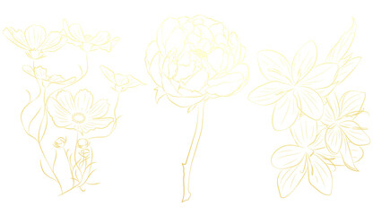 Outline Golden Flowers, Line Art Collection, Engraving, Hand Drawing, Sketch, Nature, Gold, Drawing, Plant