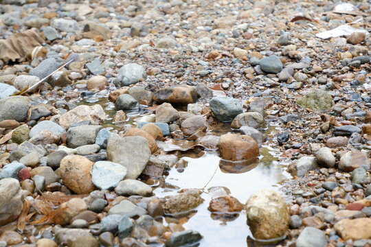 A serene close-up of smooth, colorful pebbles submerged in a flowing freshwater stream. Captures the natural texture and tranquility of a riverbed.