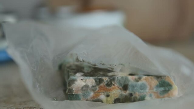In a plastic bag on the table lies a forgotten, spoiled sandwich covered with mold. Spoiled food products. Multi-colored mold covered the bread.