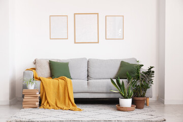 Comfortable sofa with cushions and plaid, houseplant and frame on wall in living room
