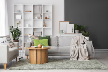 Cozy sofas with plaid and cushions, coffee table and shelving units in living room