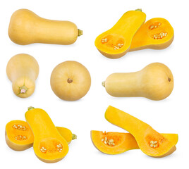 Sliced of Butternut isolated on white background.