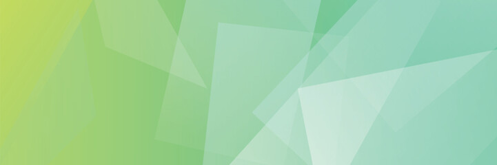 Light green wide banner background, vector ilustration, eps10.