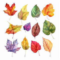 Obraz premium Watercolor painting of a collection of autumn leaves with vibrant colors isolated on a white background