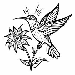 bird and flower vector illustration