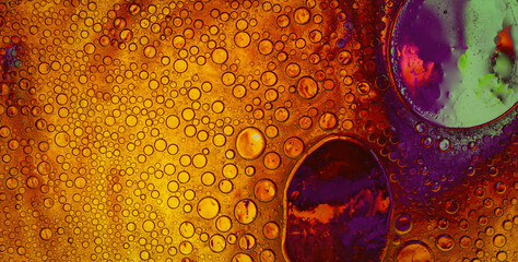 Magical and Whimsical Journey through an Enchanting Rainbow Splash on a Cute and Colorful Abstract Background