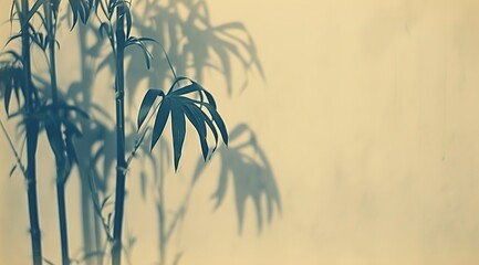 bamboo forest in sunset