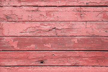 Texture of an old cracked pastel pink wall made of wooden panels as a background