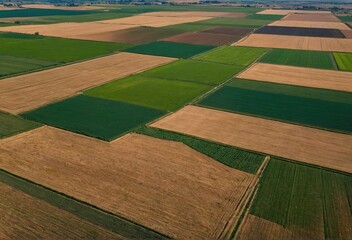 Obraz premium Aerial agriculture. Aerial view on the agriculture fields in the landscape.