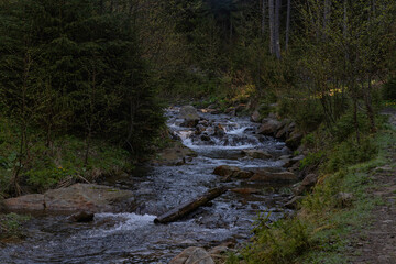 mountain road along the river in the dark dense forest