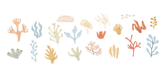 Obraz premium Cute childrens sea plants set. Marine underwater elements collection. Ocean inhabitants set of coral. Wild aquatic creatures in childish naive hand drawn style.