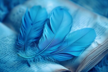 Naklejka premium Azure feathers on journal entries