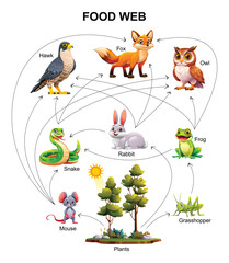 Food web ecosystem vector cartoon illustration