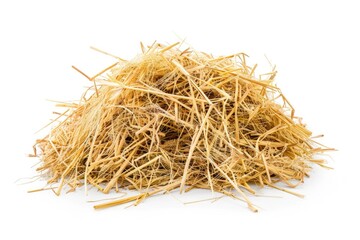 Straw Pile Isolated on White Background. Natural Agriculture Copy Space for Autumn Barley Harvest
