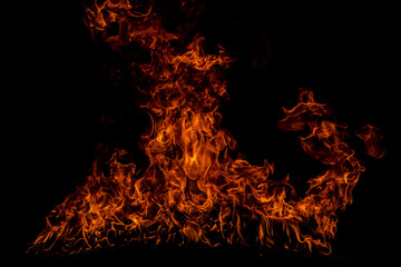 Texture of fire on a black background. Abstract fire flame background, large burning fire. © Volodymyr