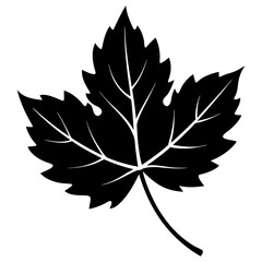 Grape leaf vector silhouette illustration