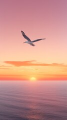 Fototapeta premium Seagull with sunset.