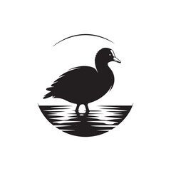 Coot Bird Silhouette - Coot Black Illustration - Coot Bird Vector.