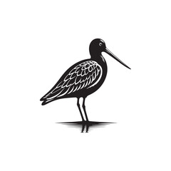 Godwit Vector Silhouette - Godwit Bird Illustration - Bird Vector Silhouette.
