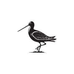 Godwit Vector Silhouette - Godwit Bird Illustration - Bird Vector Silhouette.
