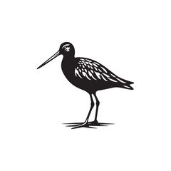Godwit Vector Silhouette - Godwit Bird Illustration - Bird Vector Silhouette.