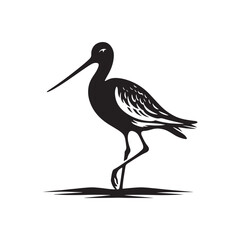 Godwit Vector Silhouette - Godwit Bird Illustration - Bird Vector Silhouette.