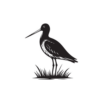 Godwit Vector Silhouette - Godwit Bird Illustration - Bird Vector Silhouette.