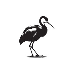 Jacana Bird Silhouette - Jacana Bird Illustration - Jacana Bird Vector.