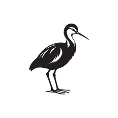 Jacana Bird Silhouette - Jacana Bird Illustration - Jacana Bird Vector.