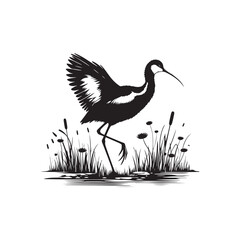 Jacana Bird Silhouette - Jacana Bird Illustration - Jacana Bird Vector.