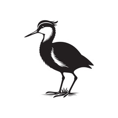 Jacana Bird Silhouette - Jacana Bird Illustration - Jacana Bird Vector.