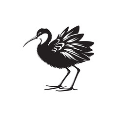 Jacana Bird Silhouette - Jacana Bird Illustration - Jacana Bird Vector.