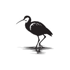 Jacana Bird Silhouette - Jacana Bird Illustration - Jacana Bird Vector.