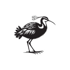 Jacana Bird Silhouette - Jacana Bird Illustration - Jacana Bird Vector.