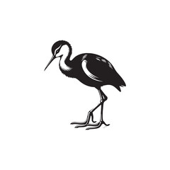 Jacana Bird Silhouette - Jacana Bird Illustration - Jacana Bird Vector.