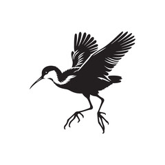 Jacana Bird Silhouette - Jacana Bird Illustration - Jacana Bird Vector.